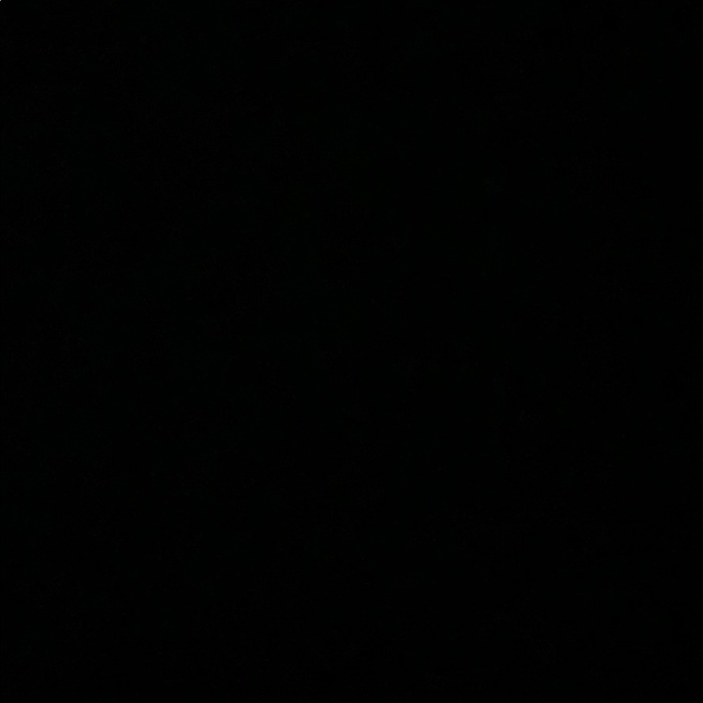 Meet your Posher, Gracie